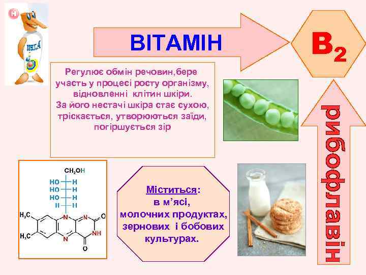 ВІТАМІН Регулює обмін речовин, бере участь у процесі росту організму, відновленні клітин шкіри. За