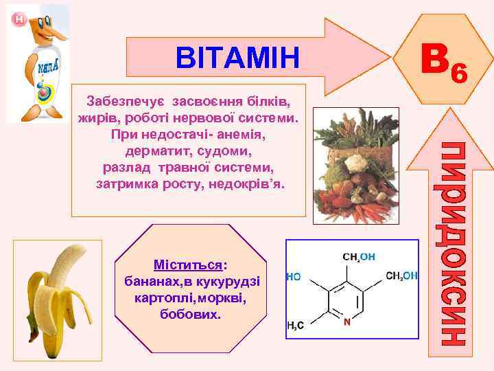 ВІТАМІН Забезпечує засвоєння білків, жирів, роботі нервової системи. При недостачі- анемія, дерматит, судоми, разлад