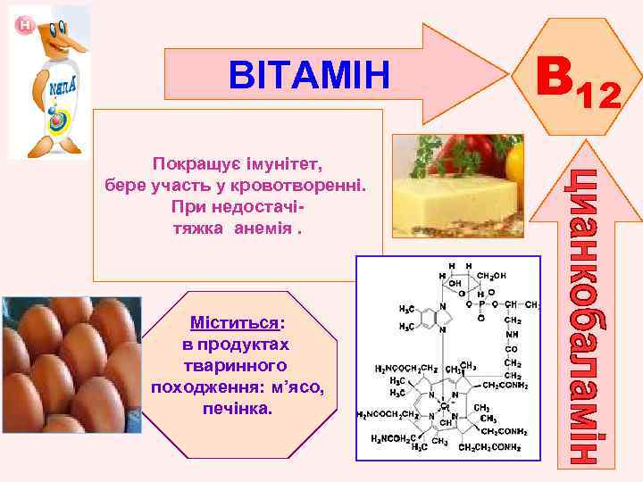 ВІТАМІН Покращує імунітет, бере участь у кровотворенні. При недостачітяжка анемія. Міститься: в продуктах тваринного