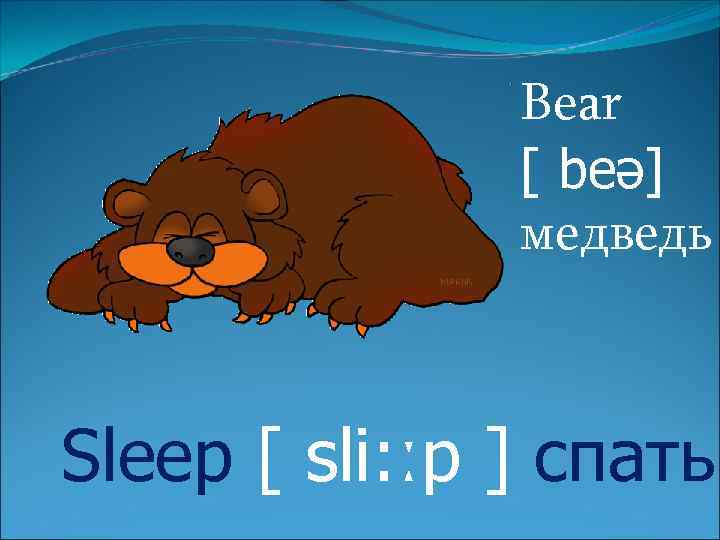 Bear [ beə] медведь Sleep [ sli: ːp ] спать 