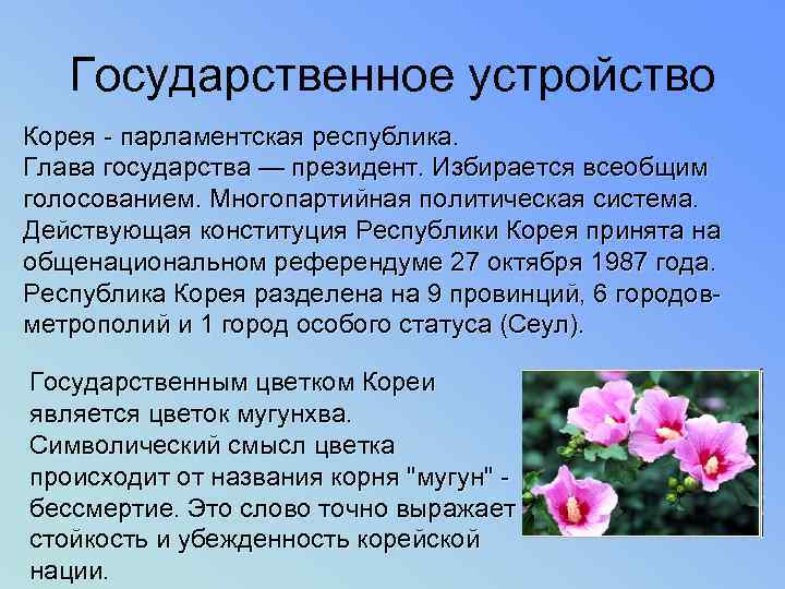 Государственное устройство Корея - парламентская республика. Глава государства — президент. Избирается всеобщим голосованием. Многопартийная