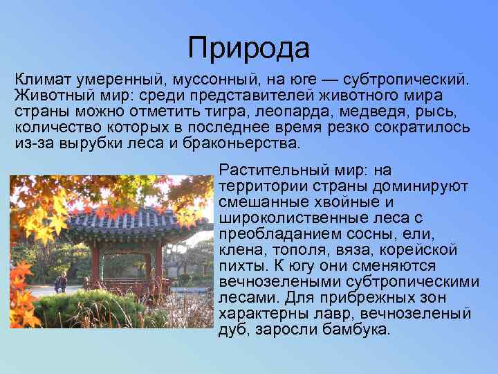 Природа Климат умеренный, муссонный, на юге — субтропический. Животный мир: среди представителей животного мира