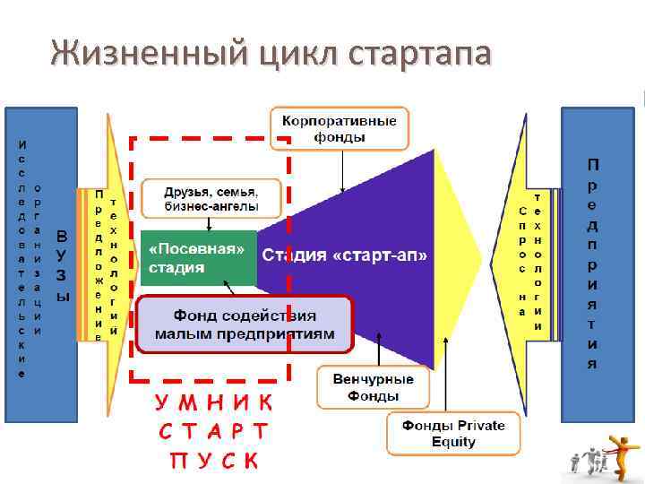 Жизненный цикл стартапа 