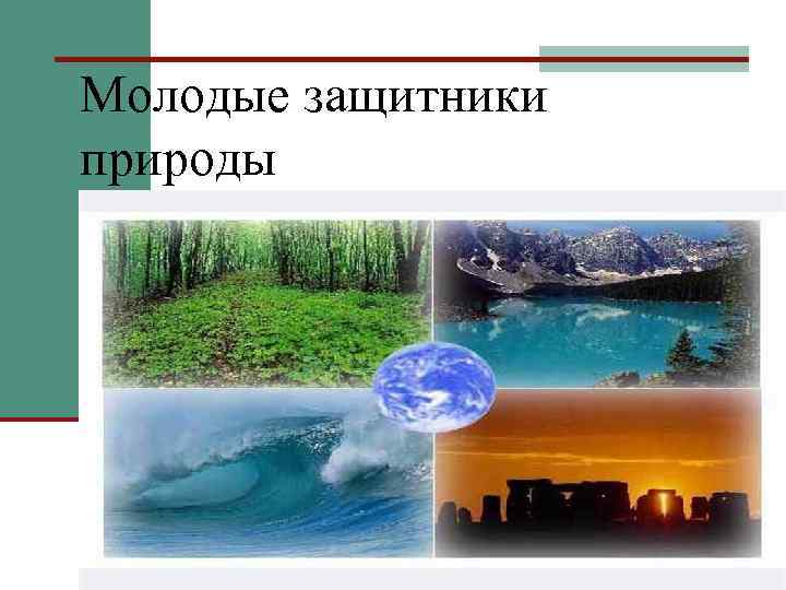 Молодые защитники природы 