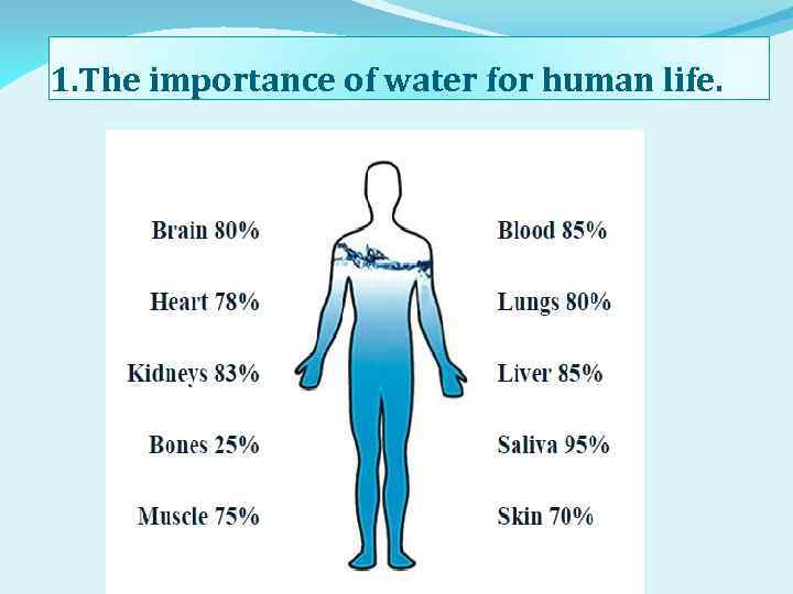 1. The importance of water for human life. 