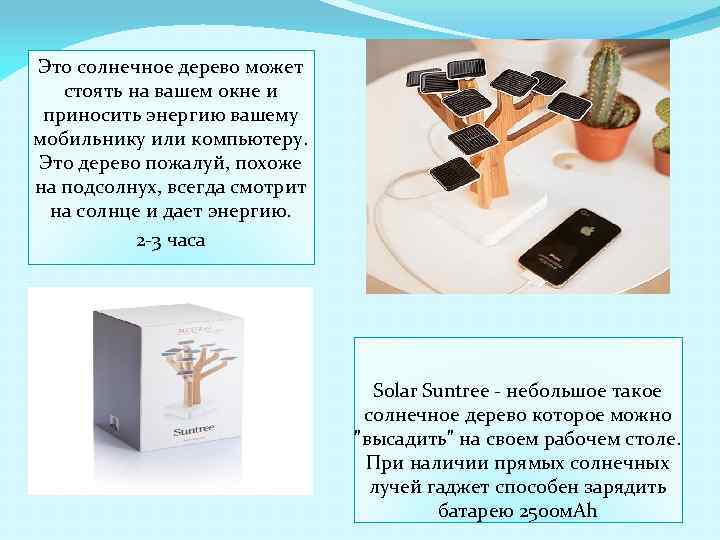 Это солнечное дерево может стоять на вашем окне и приносить энергию вашему мобильнику или