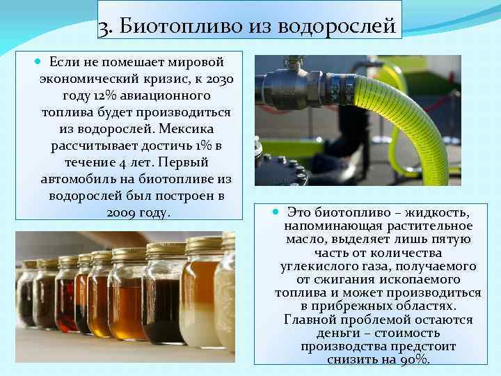 3. Биотопливо из водорослей Если не помешает мировой экономический кризис, к 2030 году 12%