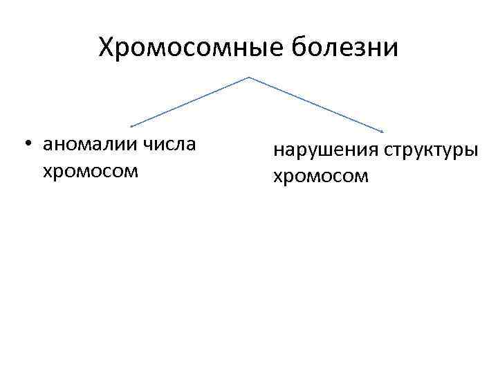 Хромосомная патология. Хромосомные болезни. Характеристика основных хромосомных болезней человека. Клинические признаки хромосомных болезней. Основные клинические проявления хромосомных болезней?.