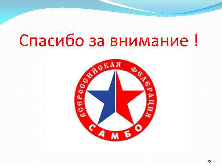Спасибо за внимание ! 15 