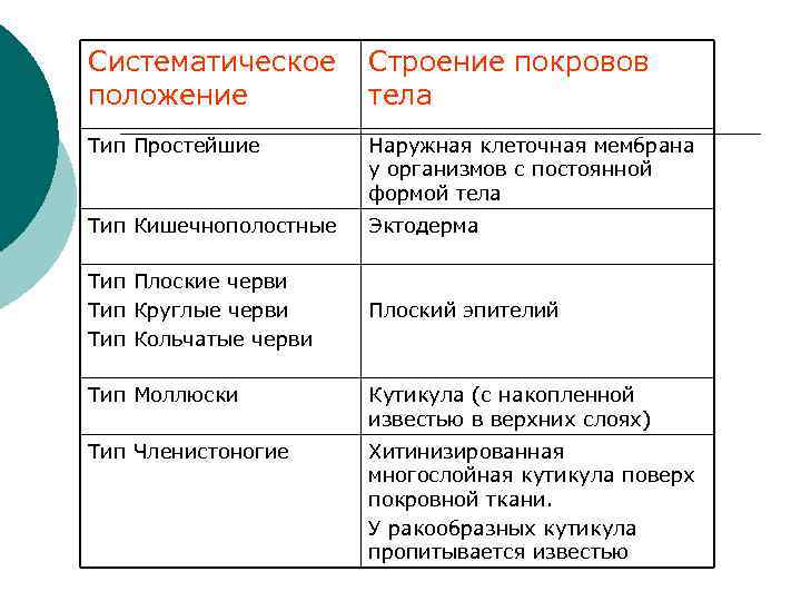 Особенности строения покрова