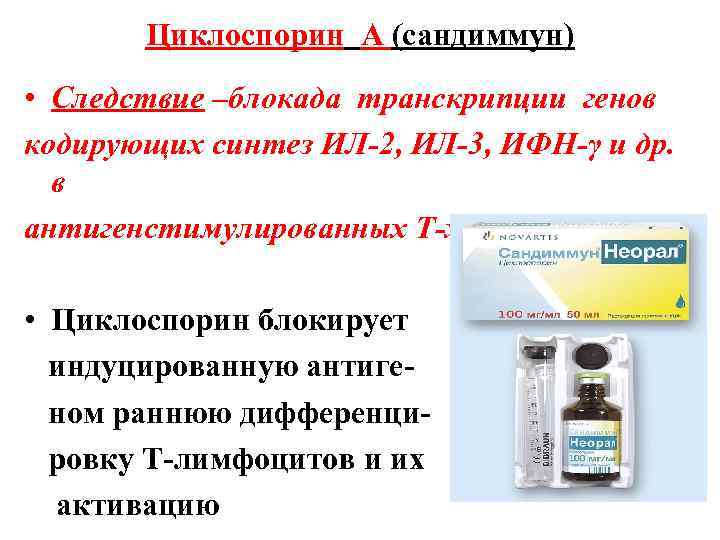 Циклоспорин А (сандиммун) • Следствие –блокада транскрипции генов кодирующих синтез ИЛ-2, ИЛ-3, ИФН-γ и