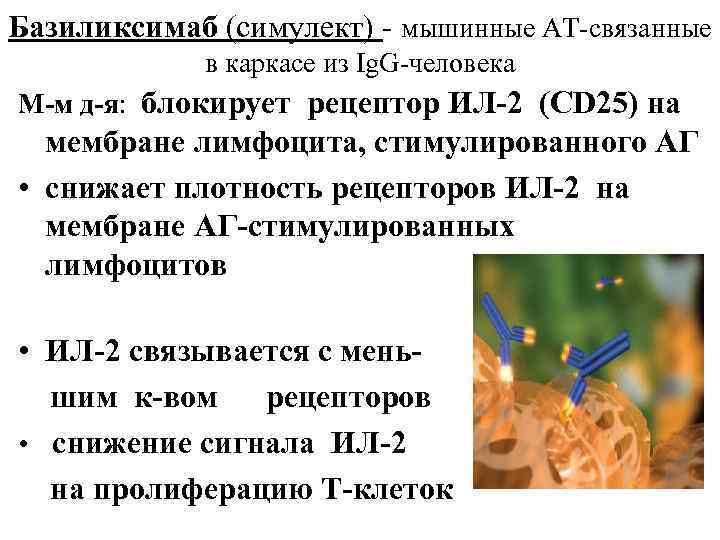 Базиликсимаб (симулект) - мышинные АТ-связанные в каркасе из Ig. G-человека М-м д-я: блокирует рецептор