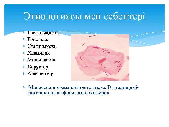 Этиологиясы мен себептері Ішек таяқшасы Гонококк Стафилакокк Хламидия Микоплазма Вирустар Анаэробтар Микроскопия влагалищного мазка.
