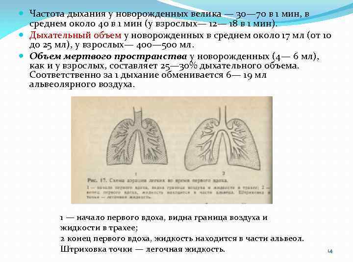 Частое дыхание у новорожденного