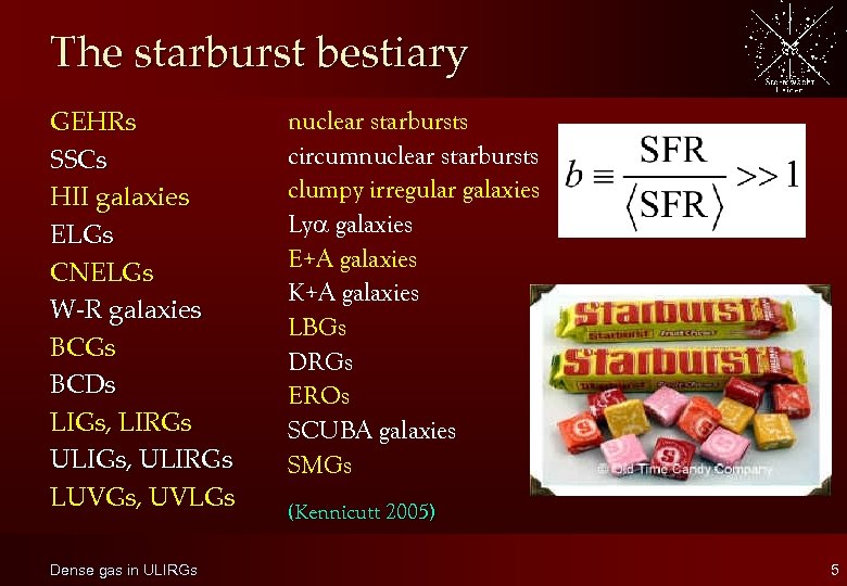 The starburst bestiary GEHRs SSCs HII galaxies ELGs CNELGs W-R galaxies BCGs BCDs LIGs,
