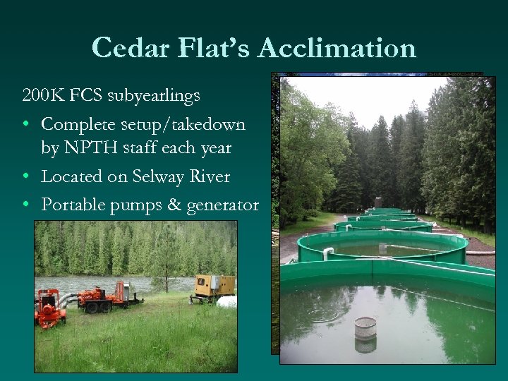 Cedar Flat’s Acclimation 200 K FCS subyearlings • Complete setup/takedown by NPTH staff each