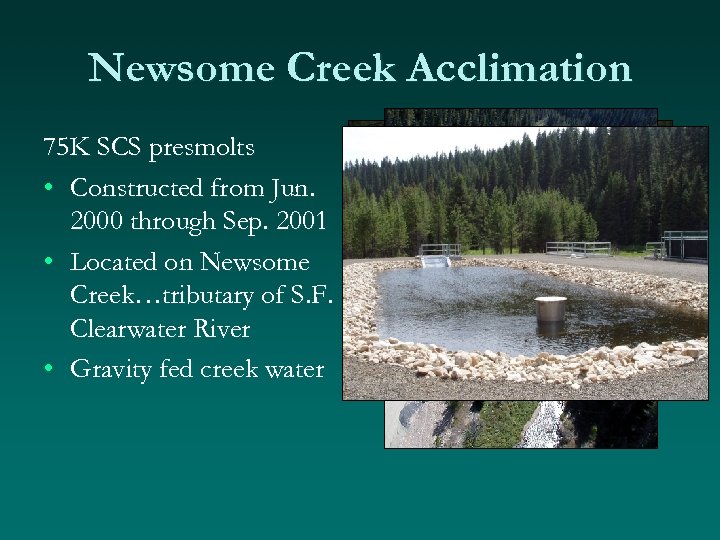 Newsome Creek Acclimation 75 K SCS presmolts • Constructed from Jun. 2000 through Sep.