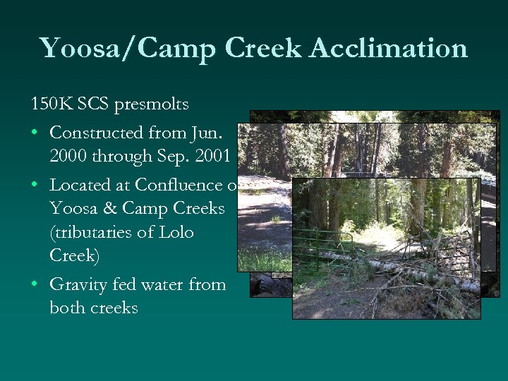 Yoosa/Camp Creek Acclimation 150 K SCS presmolts • Constructed from Jun. 2000 through Sep.