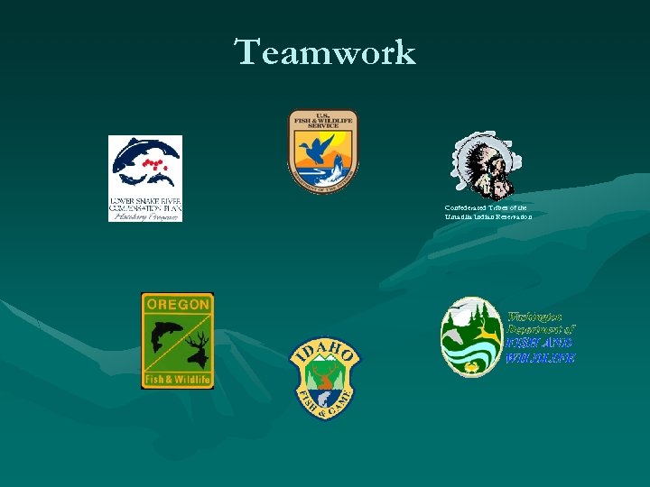 Teamwork Confederated Tribes of the Umatilla Indian Reservation 