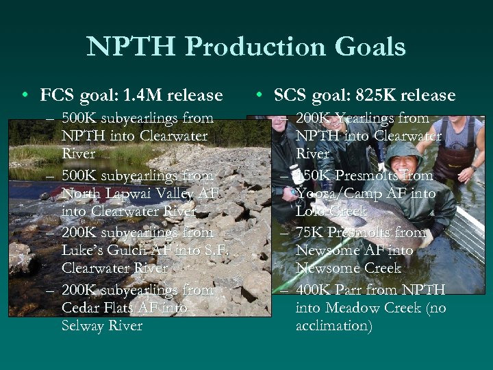 NPTH Production Goals • FCS goal: 1. 4 M release – 500 K subyearlings