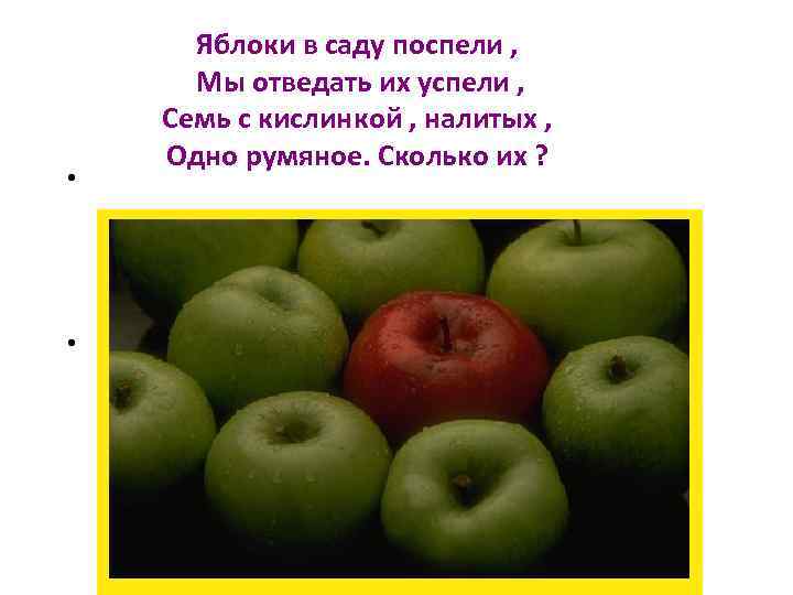  • • Яблоки в саду поспели , Мы отведать их успели , Семь