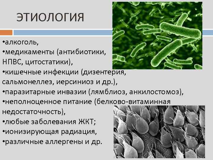 Лямблиоз презентация инфекционные болезни