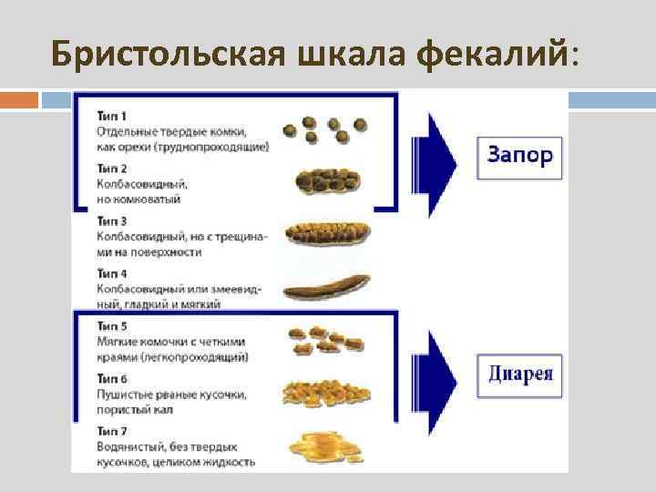 Бристольская шкала фекалий: 