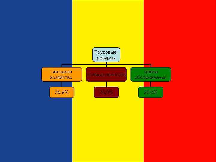 Трудовые ресурсы сельское хозяйство промышленность сфера обслуживания 35, 9% 35, 8% 28, 3% 