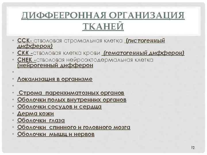 ДИФФЕЕРОННАЯ ОРГАНИЗАЦИЯ ТКАНЕЙ • ССК- стволовая стромальная клетка (гистогенный дифферон) • СКК -стволовая клетка