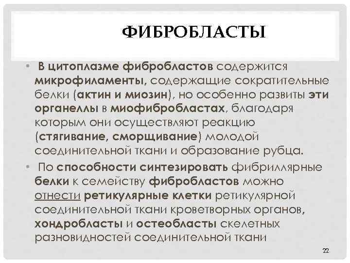 ФИБРОБЛАСТЫ • В цитоплазме фибробластов содержится микрофиламенты, содержащие сократительные белки (актин и миозин), но