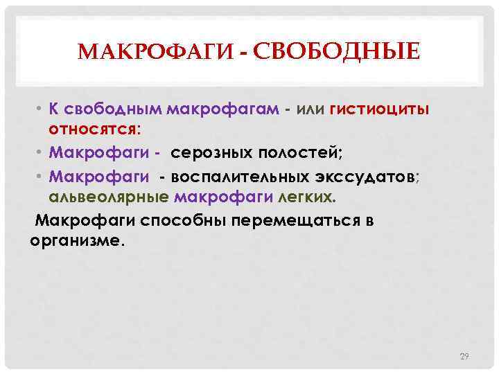 МАКРОФАГИ - СВОБОДНЫЕ • К свободным макрофагам - или гистиоциты относятся: • Макрофаги -