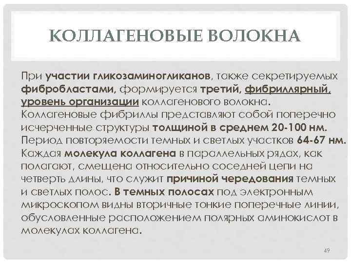 КОЛЛАГЕНОВЫЕ ВОЛОКНА При участии гликозаминогликанов, также секретируемых фибробластами, формируется третий, фибриллярный, уровень организации коллагенового