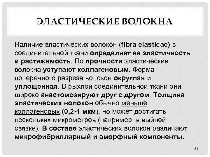 ЭЛАСТИЧЕСКИЕ ВОЛОКНА Наличие эластических волокон (fibra elasticae) в соединительной ткани определяет ее эластичность и