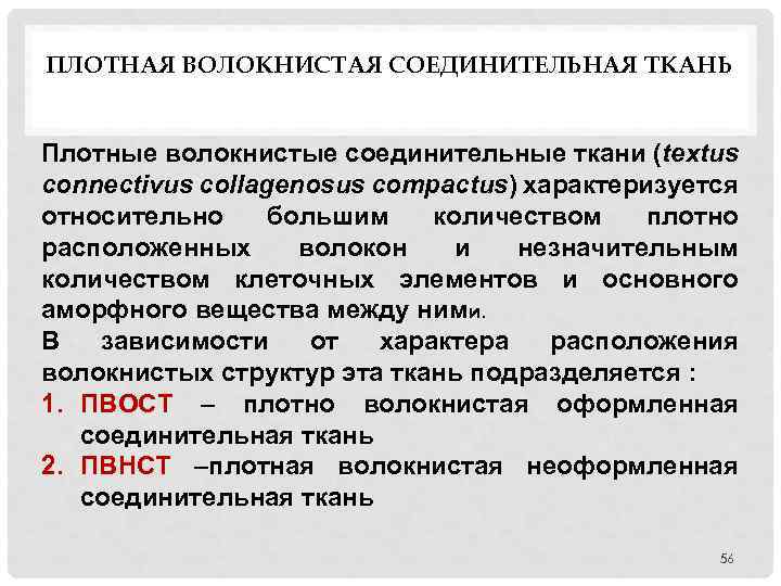 ПЛОТНАЯ ВОЛОКНИСТАЯ СОЕДИНИТЕЛЬНАЯ ТКАНЬ Плотные волокнистые соединительные ткани (textus connectivus collagenosus compactus) характеризуется относительно