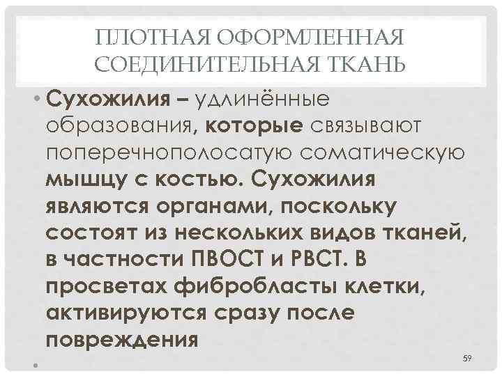 ПЛОТНАЯ ОФОРМЛЕННАЯ СОЕДИНИТЕЛЬНАЯ ТКАНЬ • Сухожилия – удлинённые образования, которые связывают поперечнополосатую соматическую мышцу