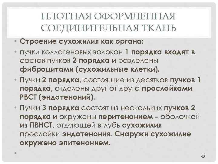 ПЛОТНАЯ ОФОРМЛЕННАЯ СОЕДИНИТЕЛЬНАЯ ТКАНЬ • Строение сухожилия как органа: • пучки коллагеновых волокон 1