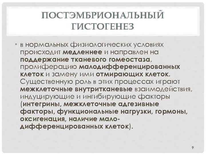 Гистогенез. Постэмбриональный гистогенез. Гистогенез соединительной ткани. Постэмбриональный гистогенез соединительной ткани. Процессы гистогенеза.