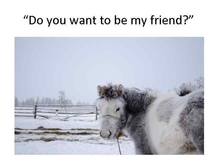 “Do you want to be my friend? ” 