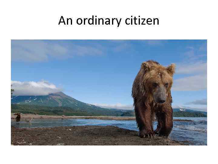 An ordinary citizen 