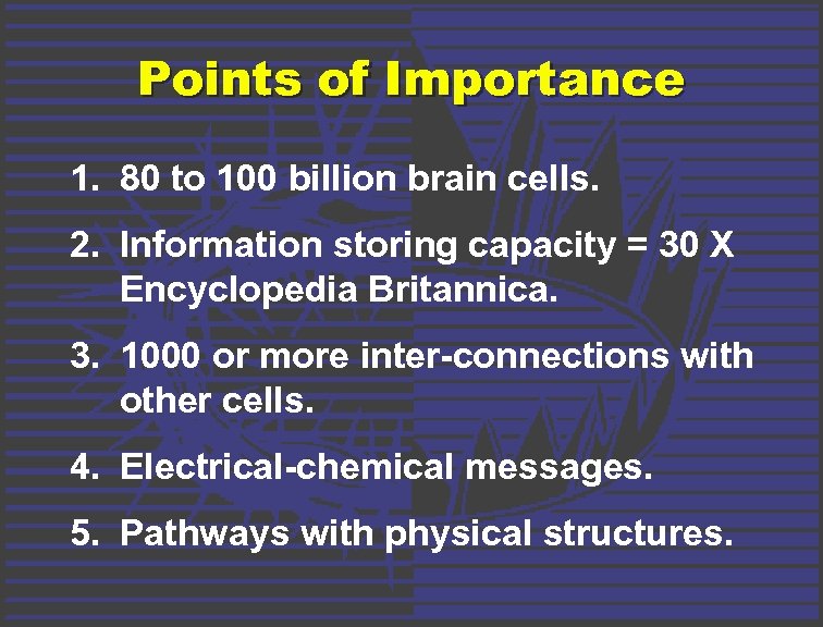 Points of Importance 1. 80 to 100 billion brain cells. 2. Information storing capacity