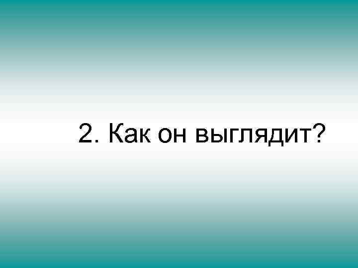 2. Как он выглядит? 