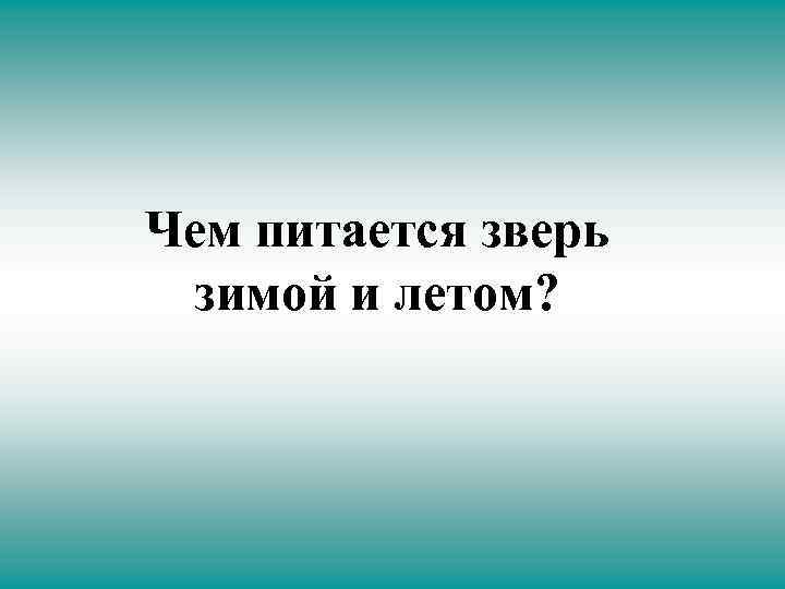 Чем питается зверь зимой и летом? 