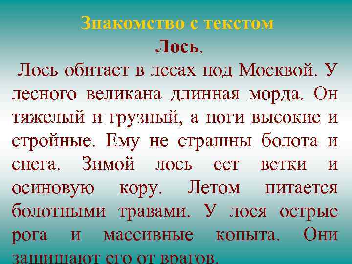 Знакомство с текстом Лось обитает в лесах под Москвой. У лесного великана длинная морда.