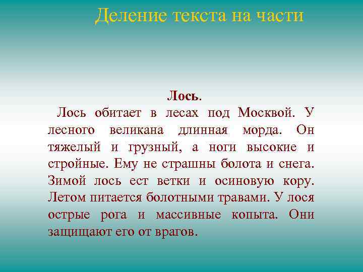 Деление текста на части Лось обитает в лесах под Москвой. У лесного великана длинная