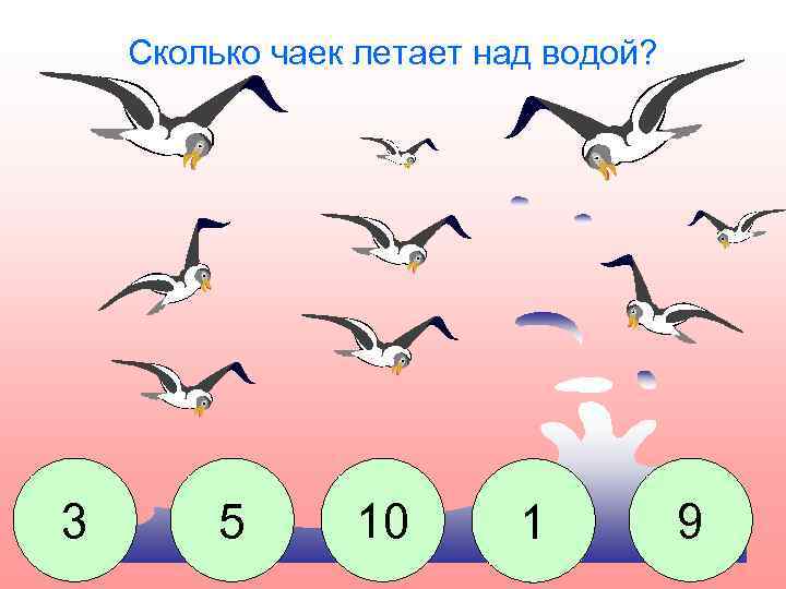 Сколько чаек летает над водой? 3 5 10 1 9 