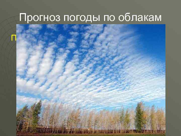 Прогноз погоды по облакам Перистые облака высоко в небе говорят о том, что приближается