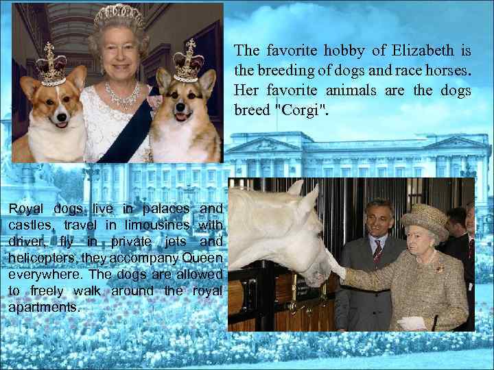 The favorite hobby of Elizabeth is the breeding of dogs and race horses. Her