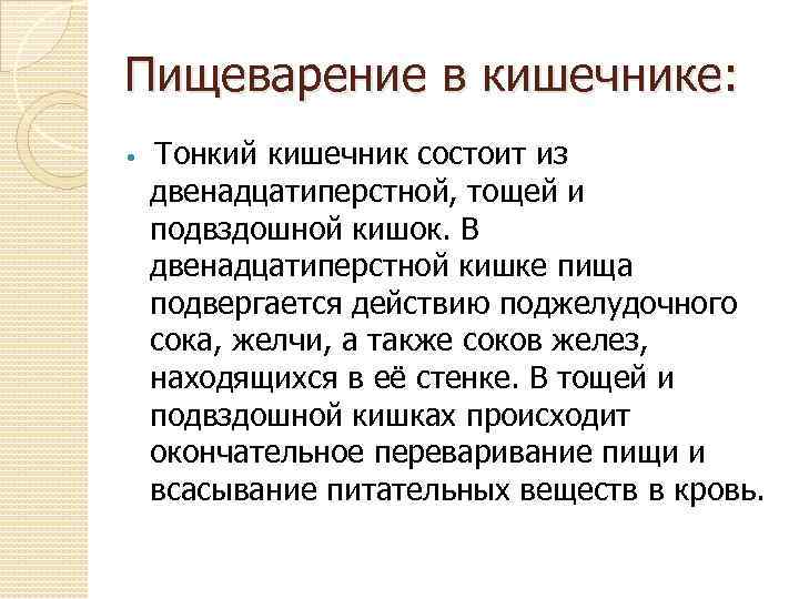 Пищеварение в кишечнике: Тонкий кишечник состоит из двенадцатиперстной, тощей и подвздошной кишок. В двенадцатиперстной