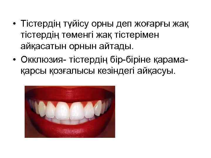  • Тістердің түйісу орны деп жоғарғы жақ тістердің төменгі жақ тістерімен айқасатын орнын