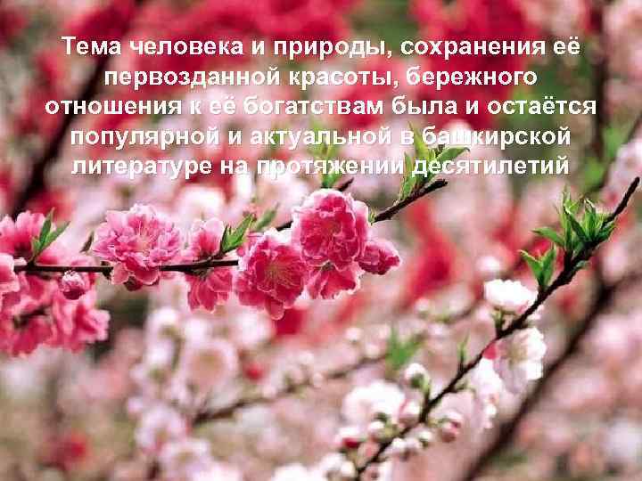 Тема человека и природы, сохранения её первозданной красоты, бережного отношения к её богатствам была